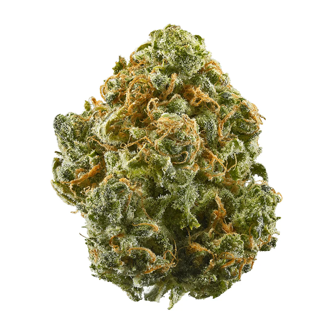 BLUE DREAM 3.5G
