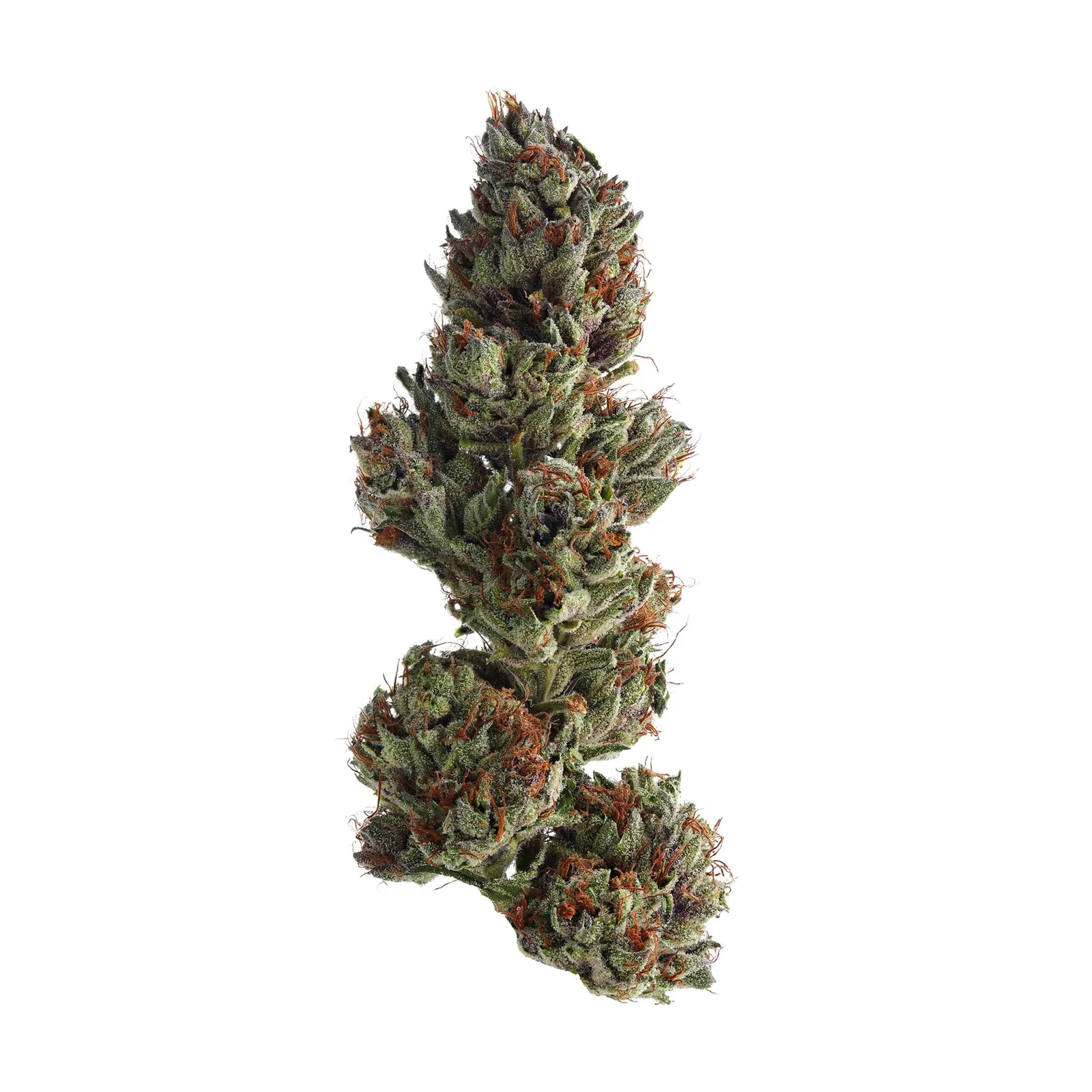 (PROMO) OAKLAND RUNTZ 1G