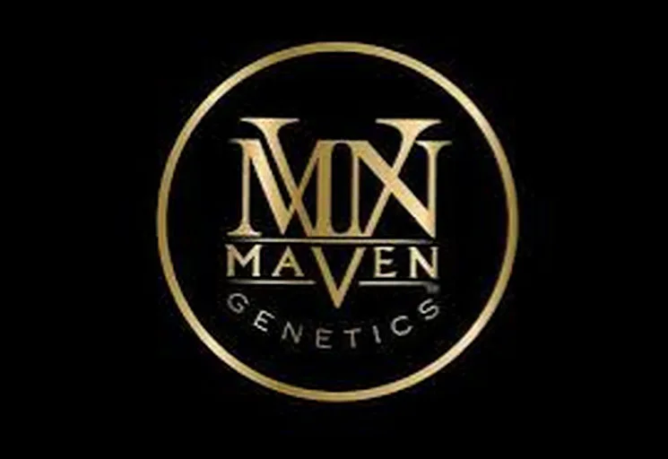Maven Og Keif