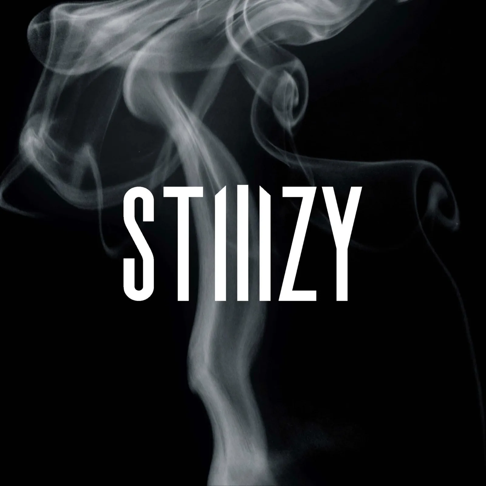 STIIIZY Preroll Cones Organic Hemp 1 1/4 Size