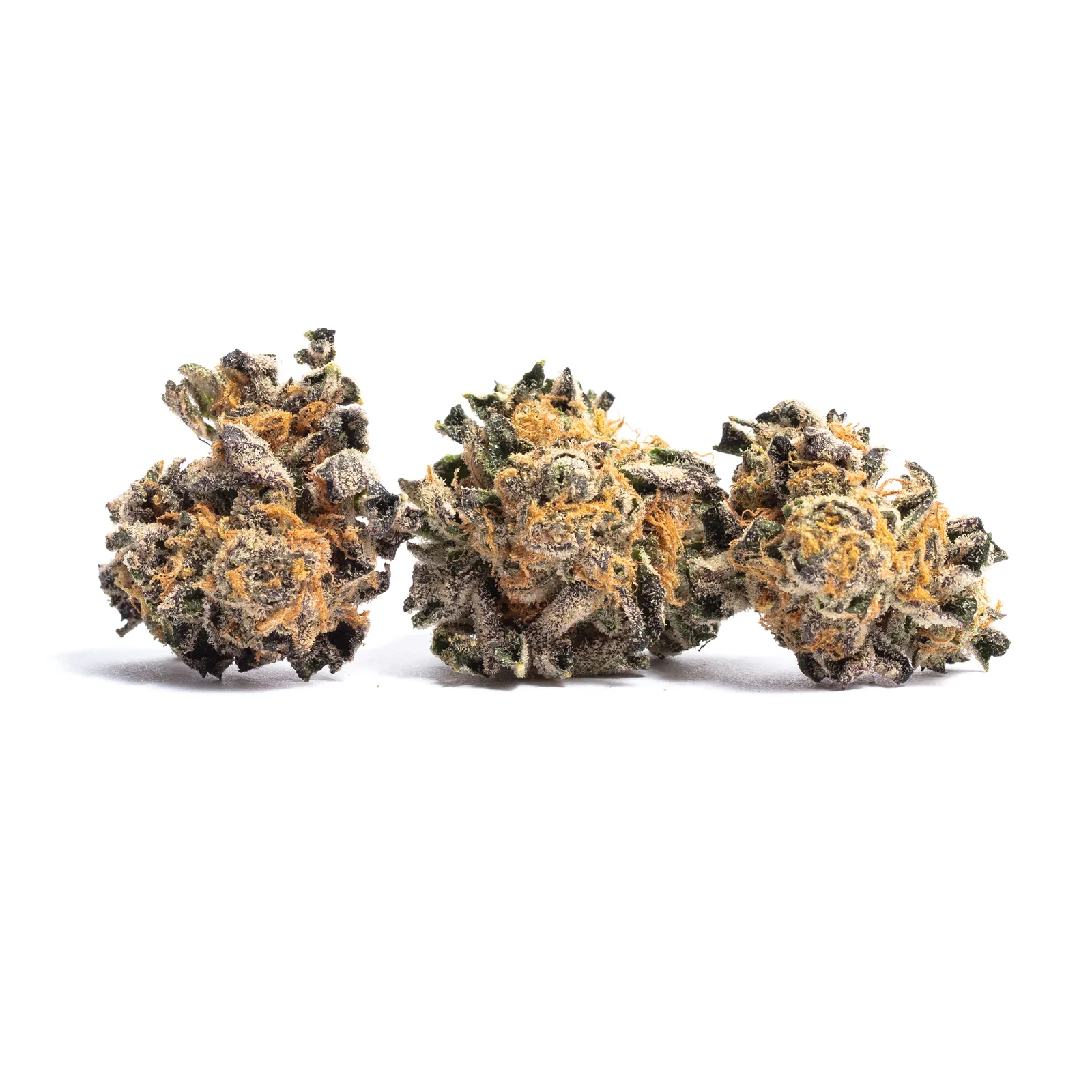 ANIMAL COOKIES 3.5G FLOWER