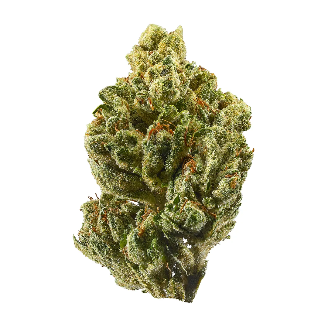 OAKFRUITLAND | OG KUSH - 7 g