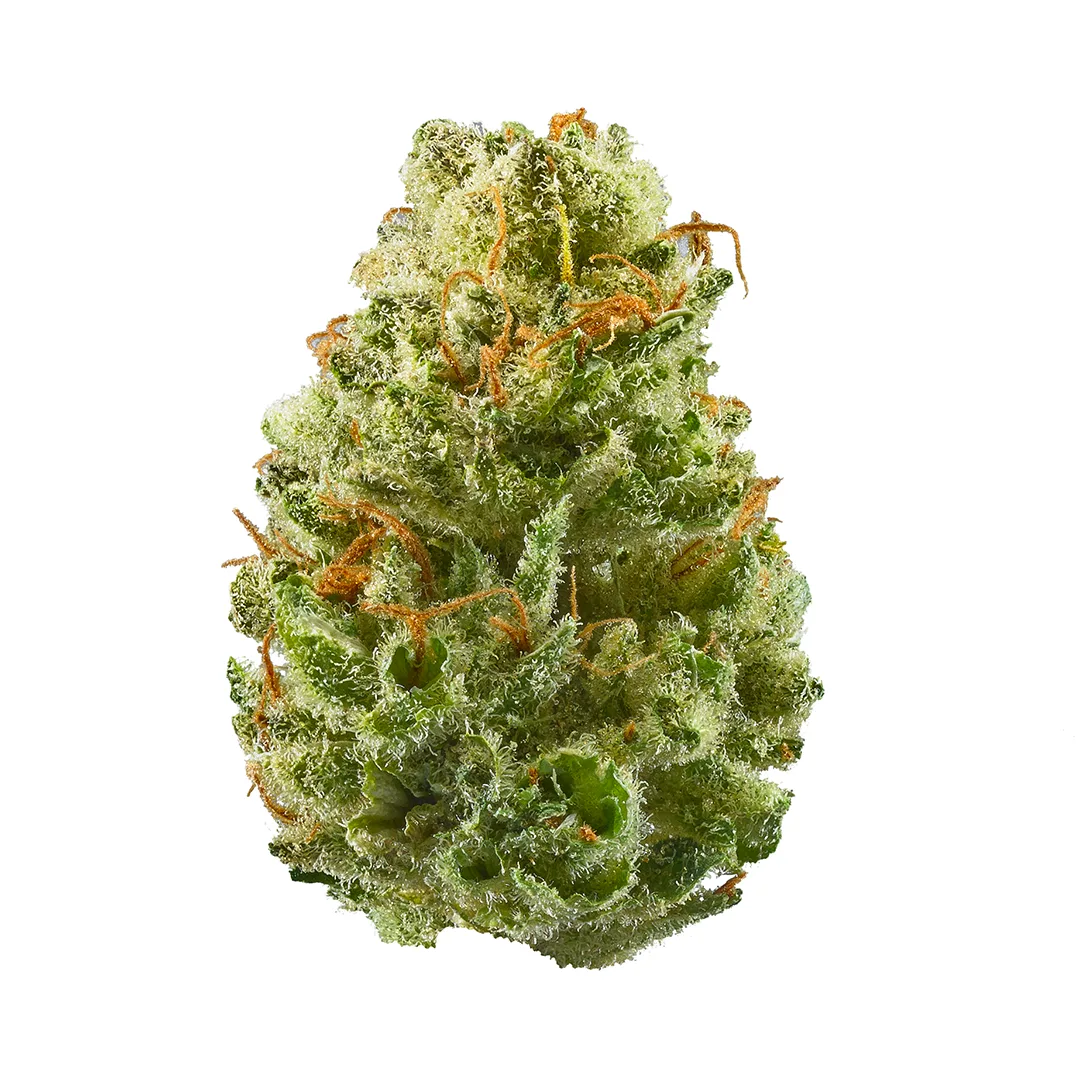 OAKFRUITLAND - FLOWER [3.5G] STRAWBERRY COUGH