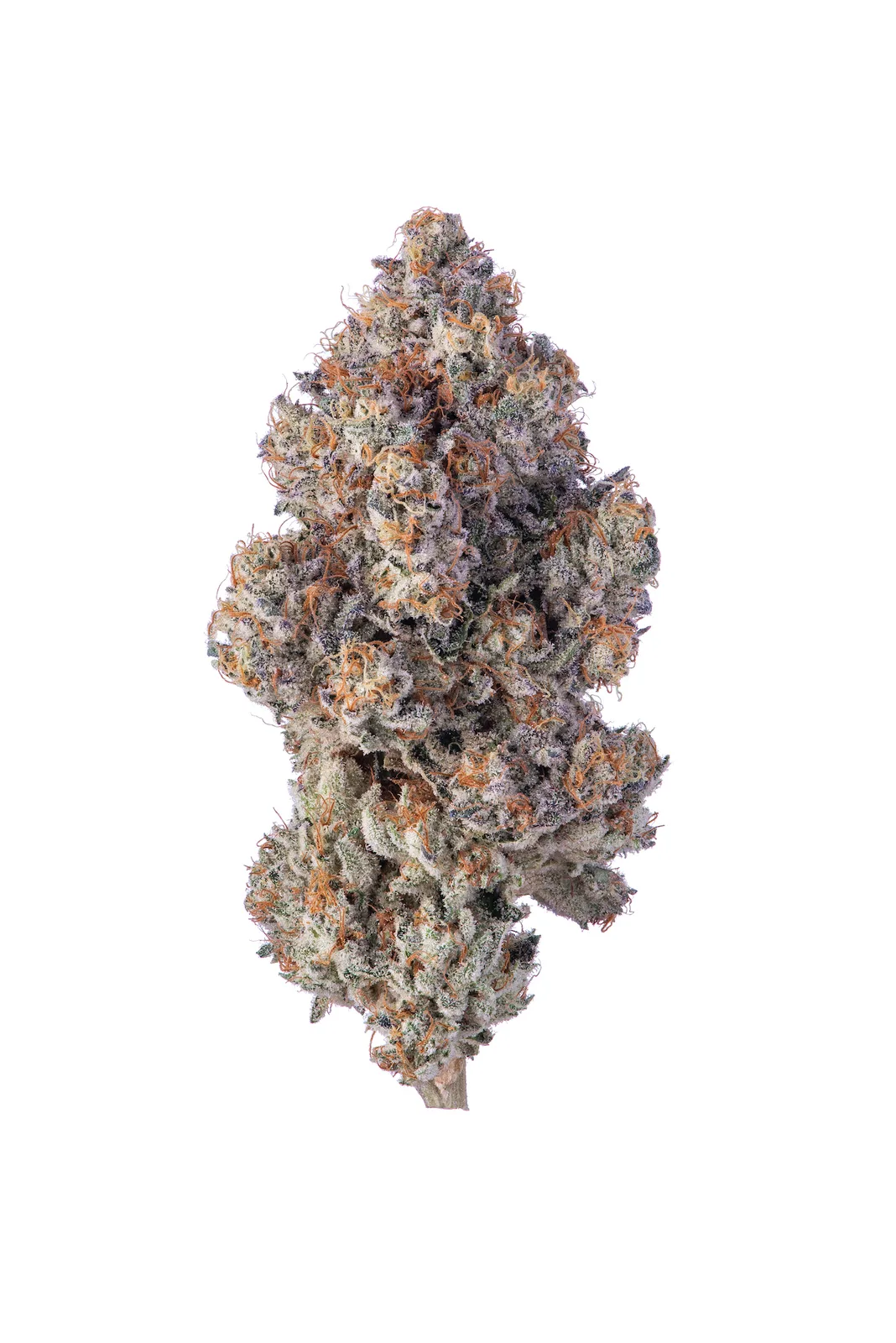 Khalifa Kush Flower 3.5g Khalifa Mints