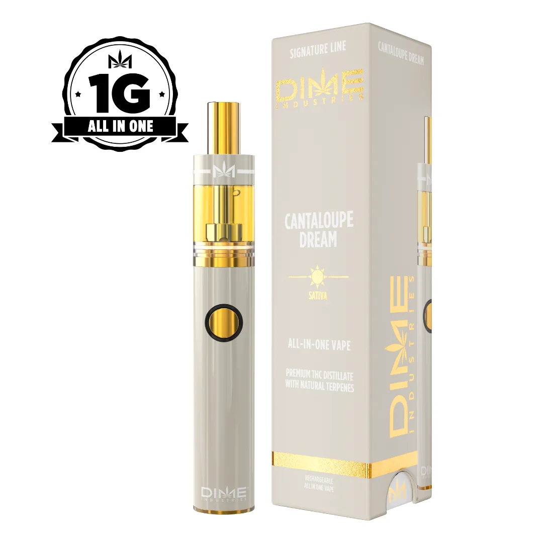 Cantaloupe Dream All-In-One Vape