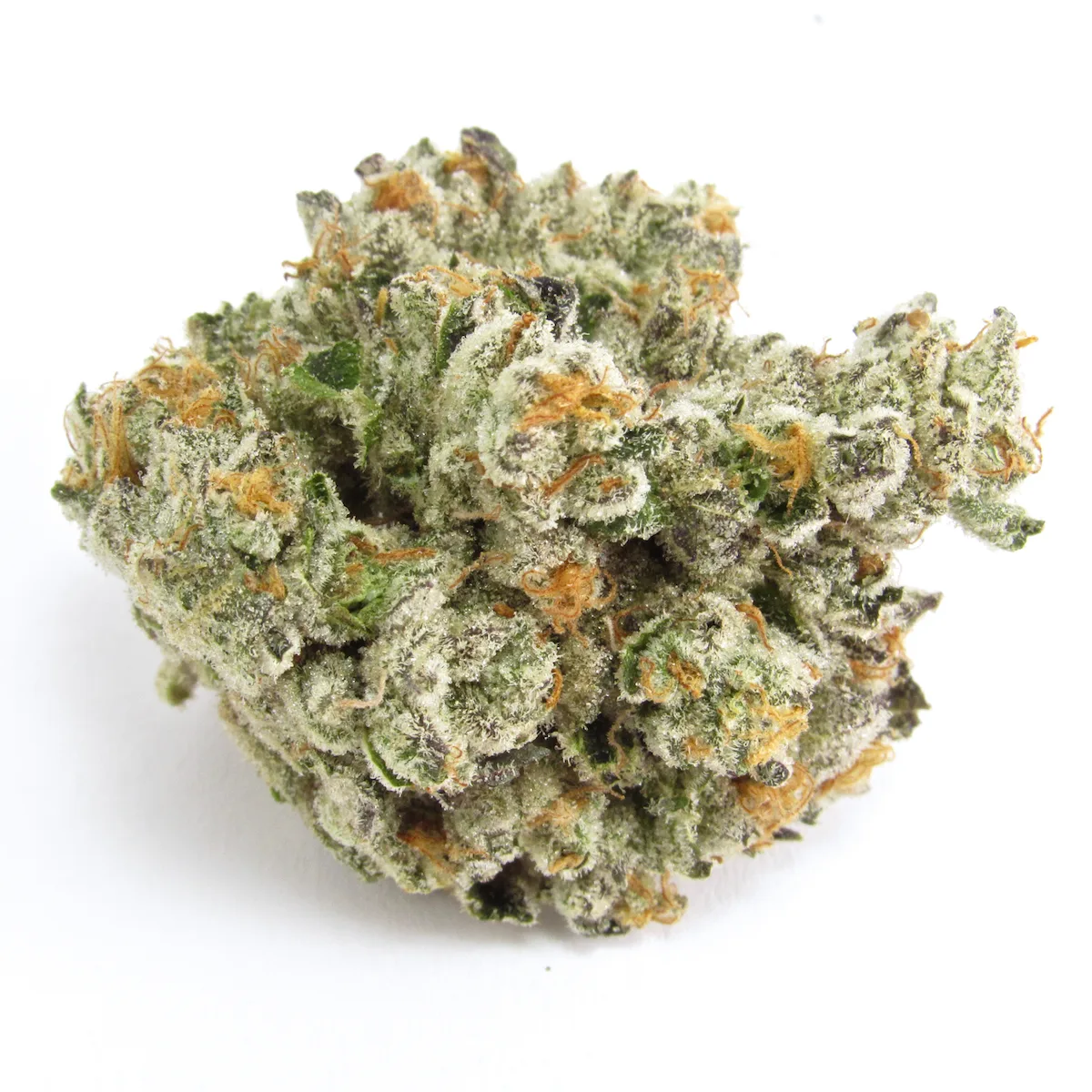 GAS FACE 7G MICROS