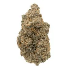 28G WATERMELON CHERRY