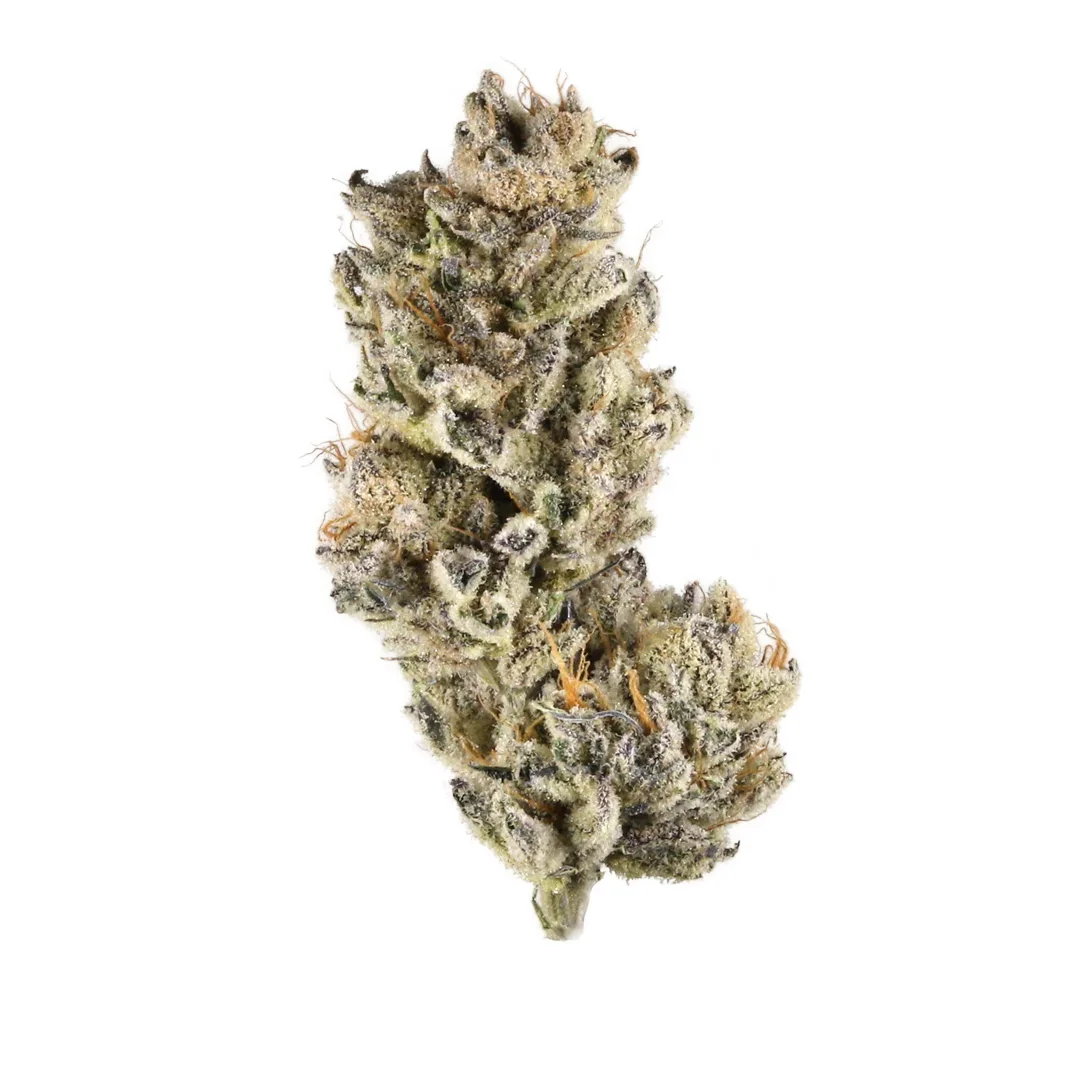 PURPLE PUNCH 7G MICROS