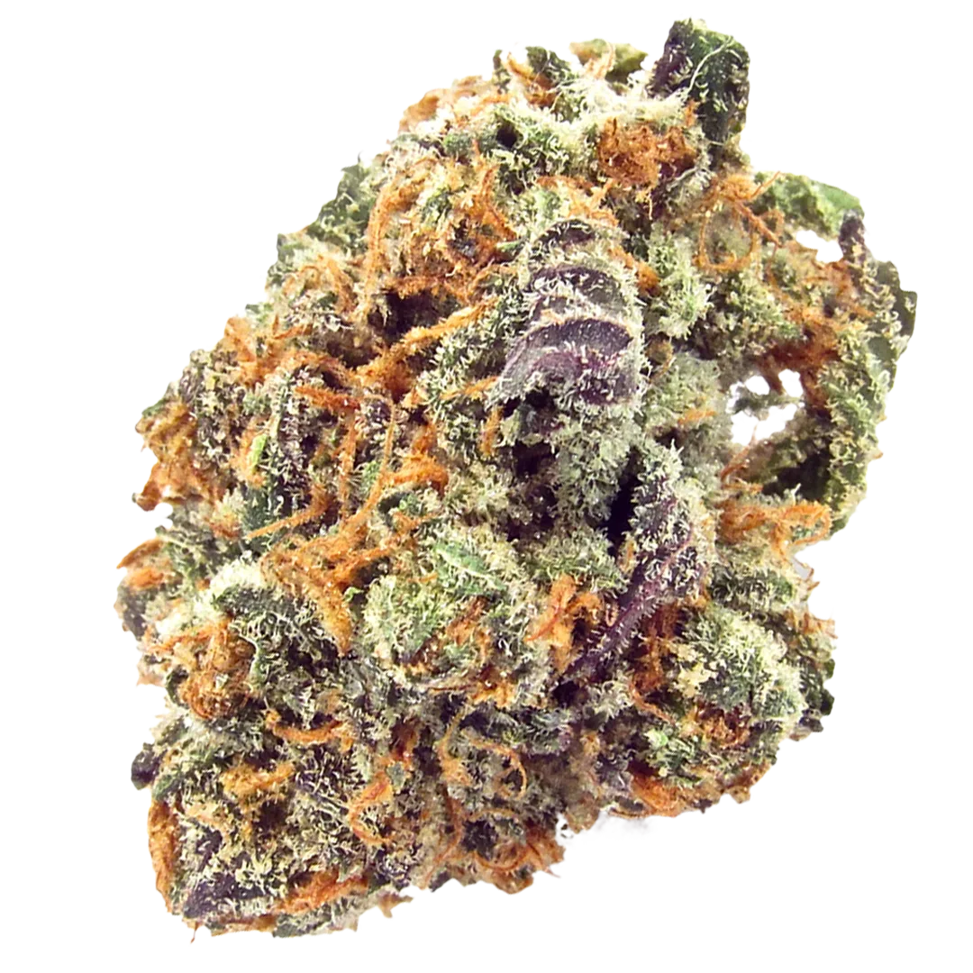 Mimosa