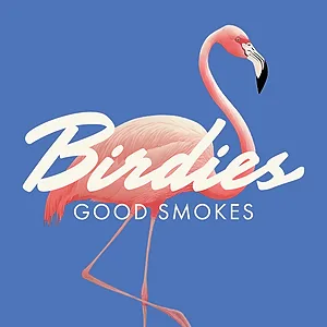 Birdies Lights 7g 2:1 CBD:THC Pre-Roll 10pk