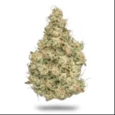 14G CANNAFEEN GODFATHER OG