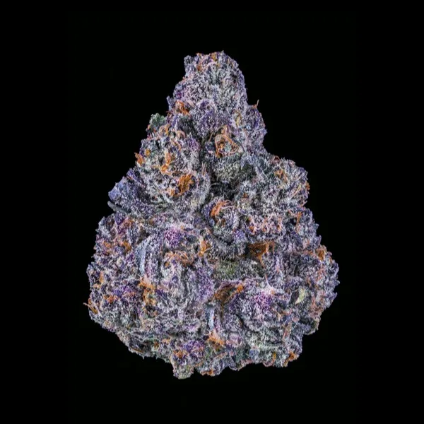 Top Shelf Indoor Flower- Neon Runtz - Hybrid