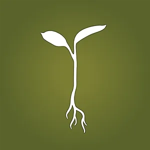 Raw Garden - Concentrate - Lemon Gas - 1G