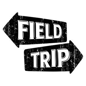 Field Trip Ready To Roll | 14g | H | Sundae Funday