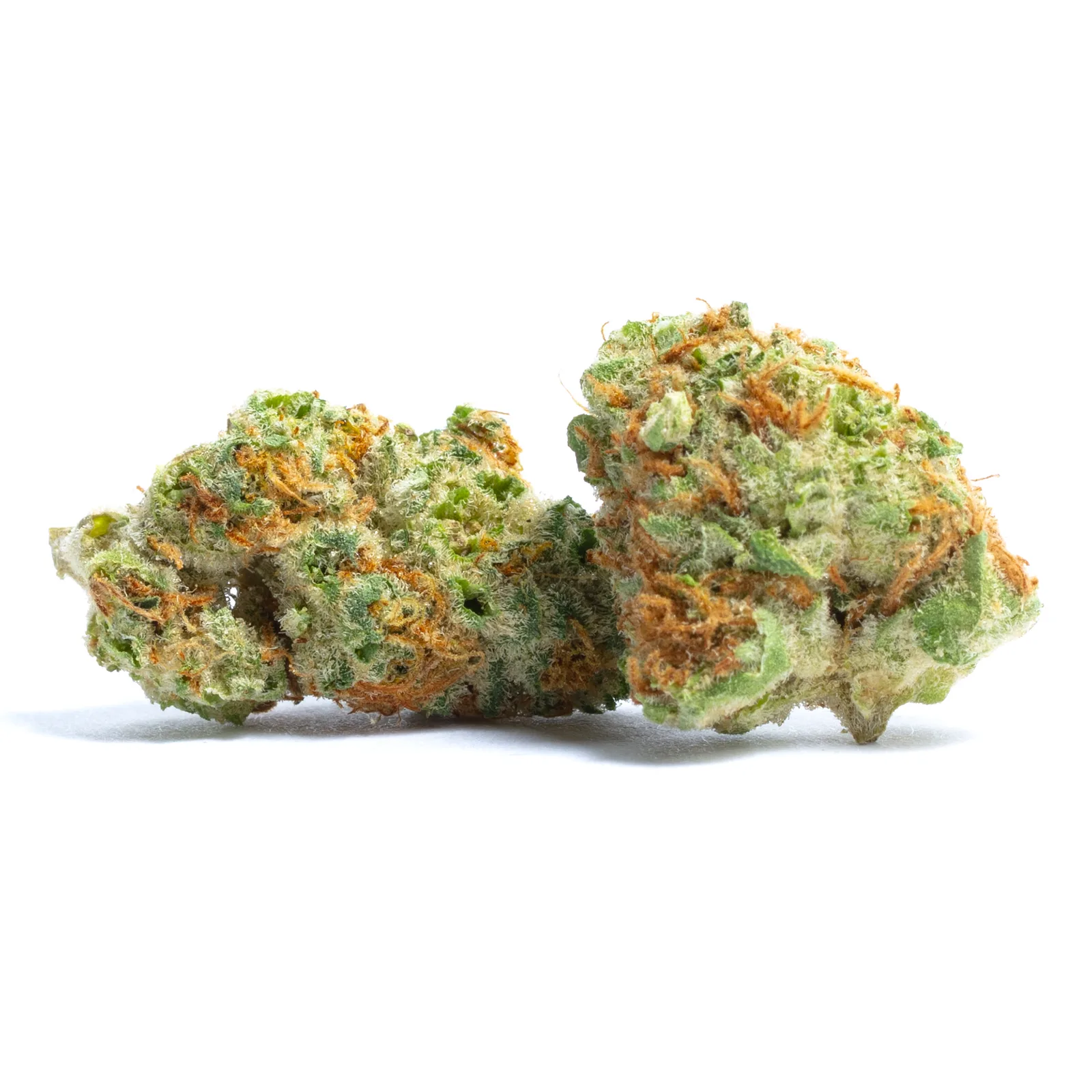 GREENLINE - Papaya x 33 - Pre-Roll - 1 gram