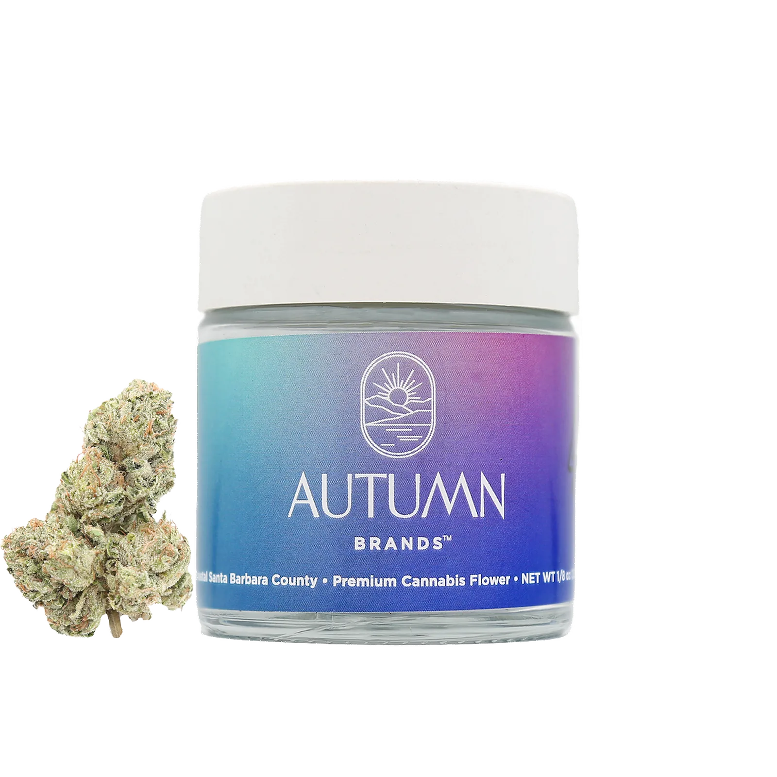Autumn Brands Smalls 7g Purple Push Pop
