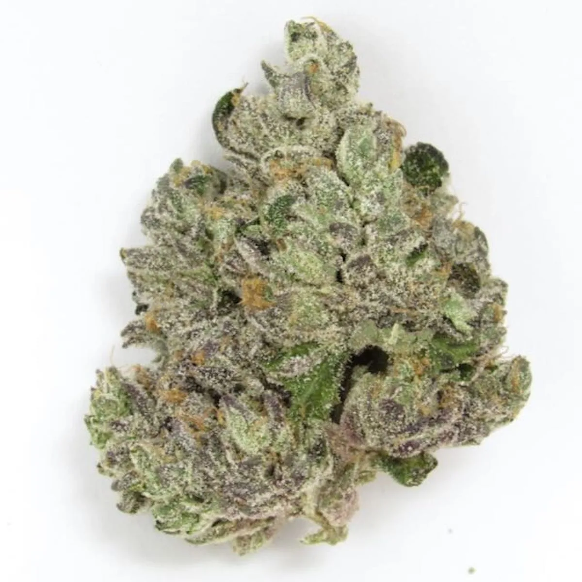 (PROMO) GOTTI BELTZ 3.5G FLOWER