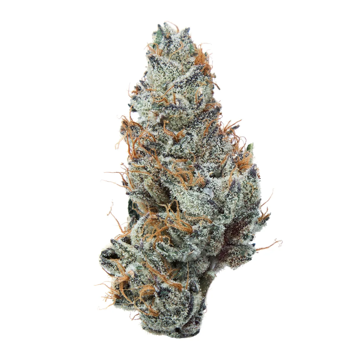 $33 Daze Off - Grape Ape 8th