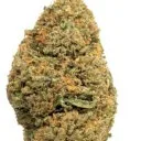 Greenhouse Flower - White Truffles -Indica