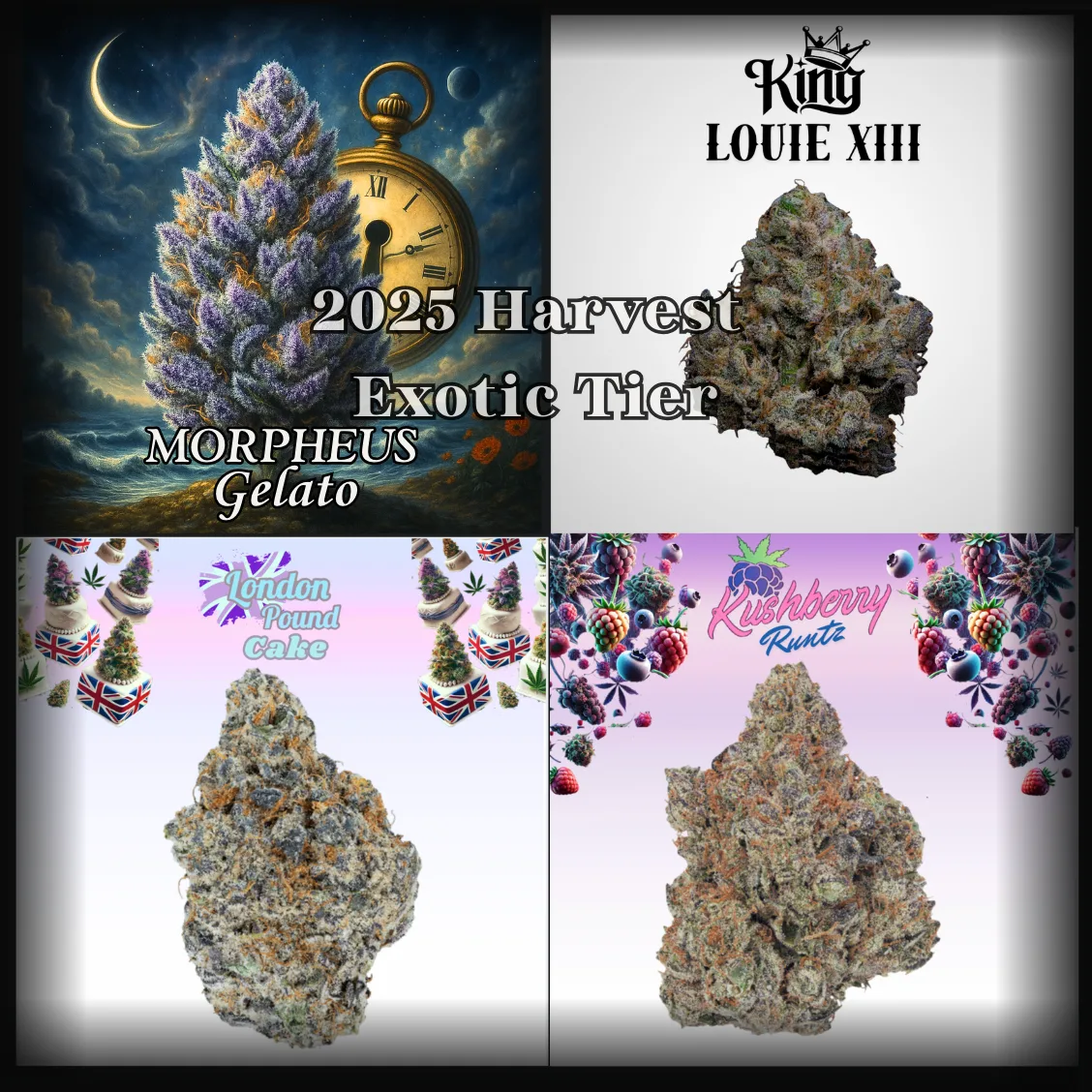 1/2 Oz - 2025 Harvest EXOTIC/PR Tier [ Random/Assorted] - Excl.