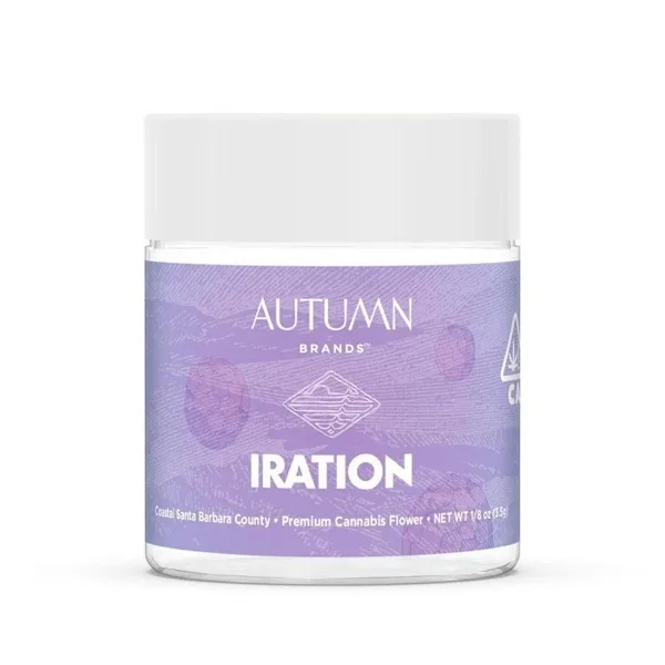 Autumn - Iration Summer Nights