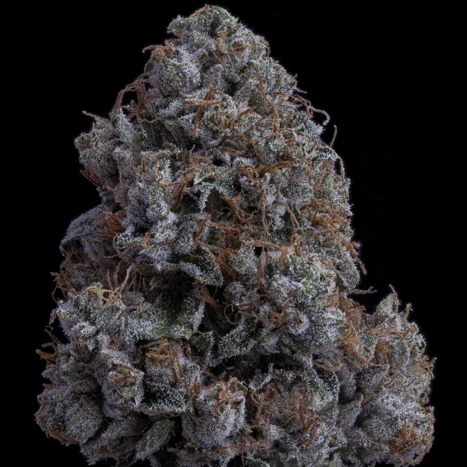K1 OG | 3.5g Flower