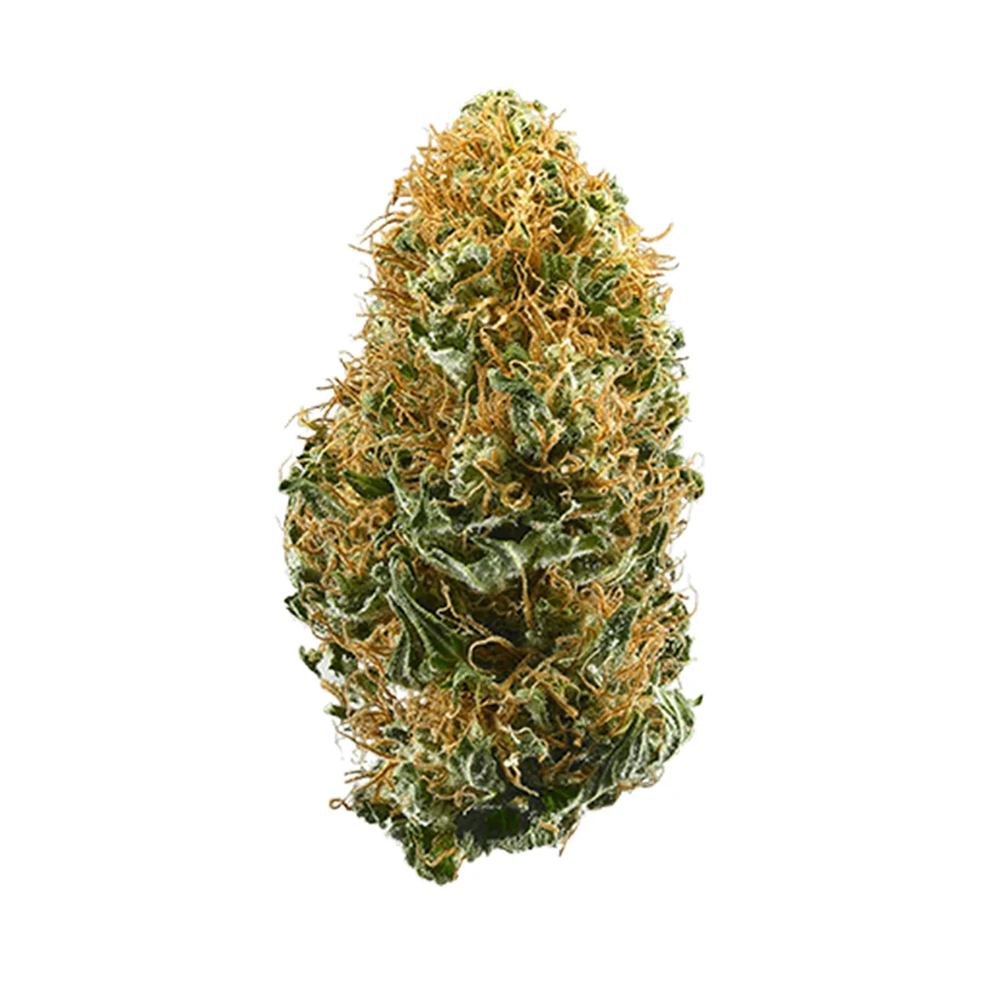 $85 Daze Off - White Widow 14g