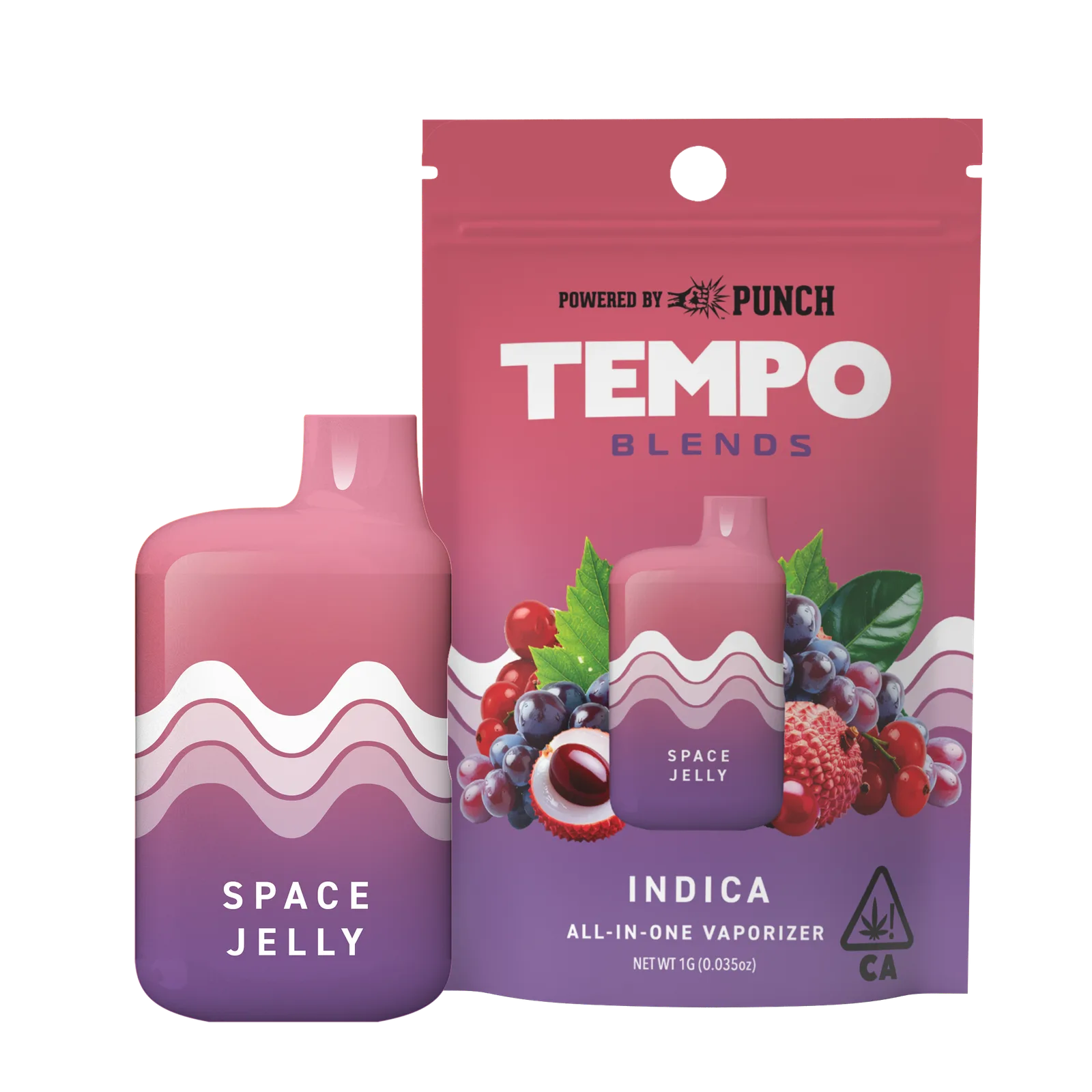 Space Jelly Blends All In One Vape | 1g