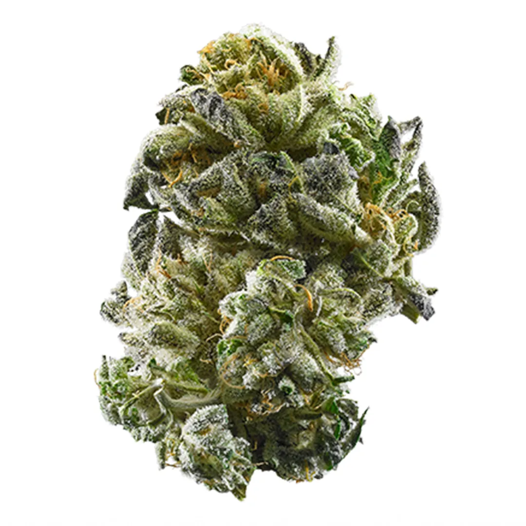 GSC 3.5G FLOWER