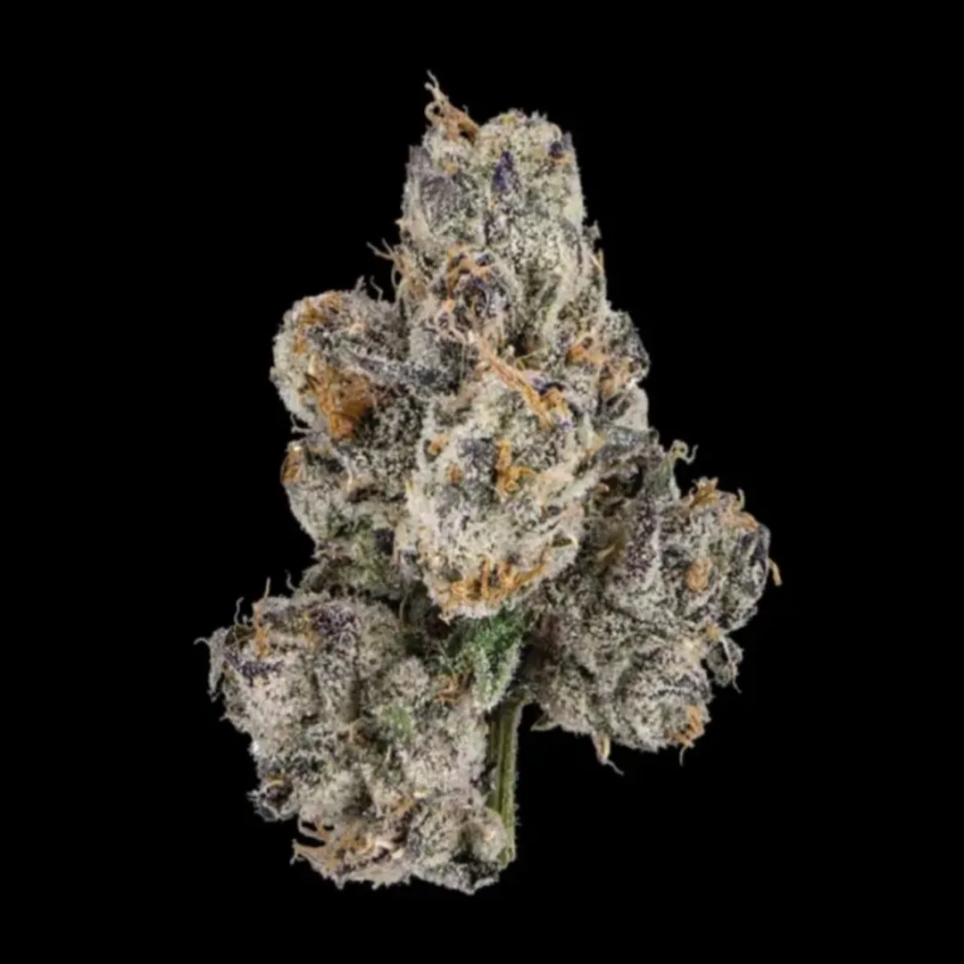 Bubblegum Gelato