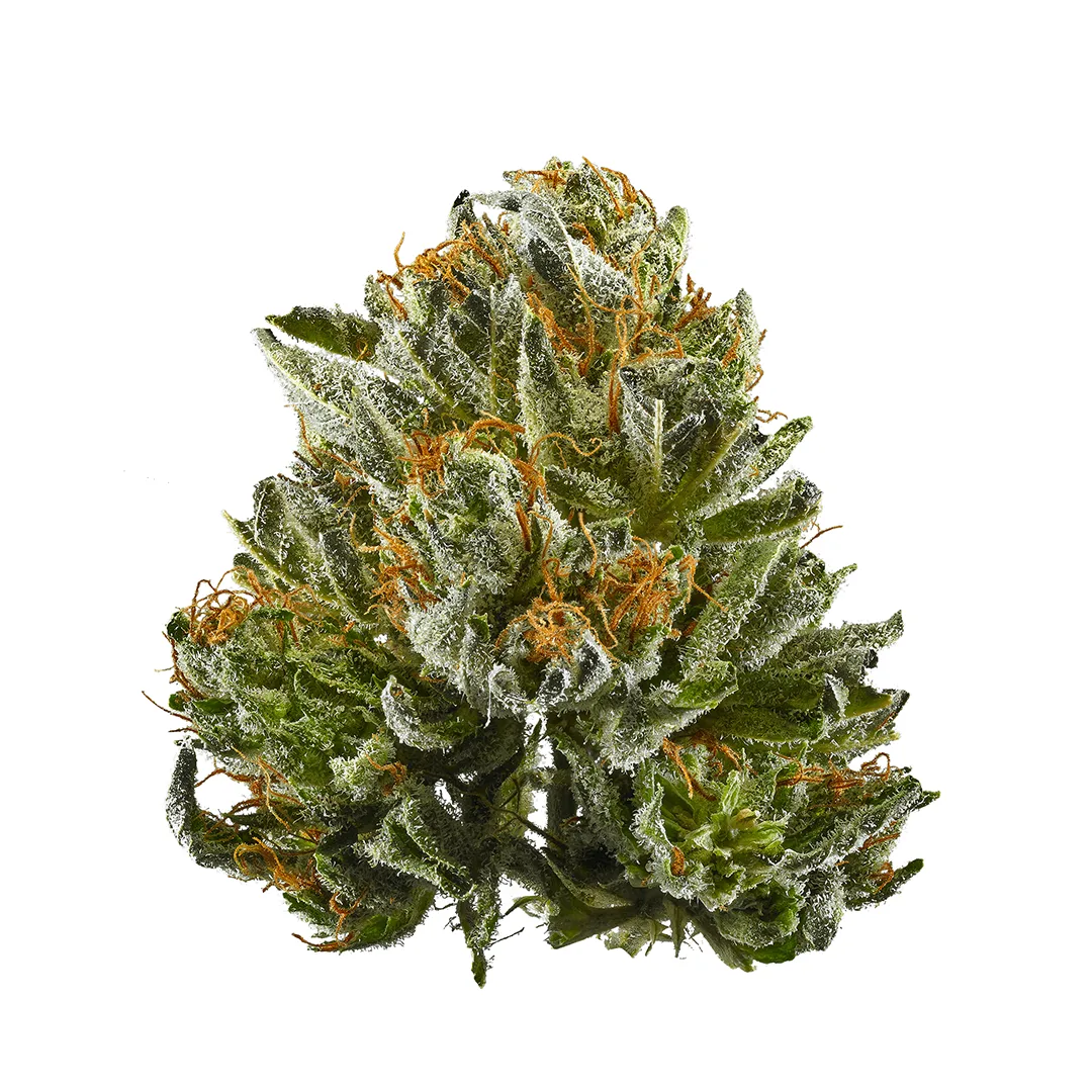 3.5g | Bubba Kush
