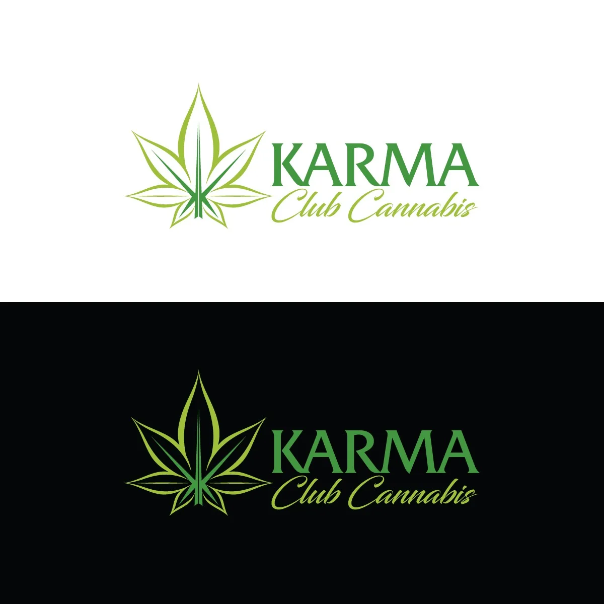 Karma | 1:1 RSO 1g Syringe 1g