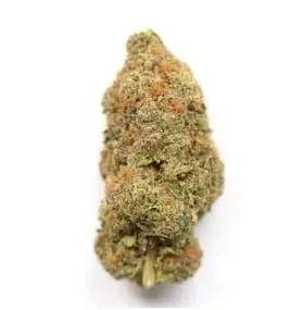 OG Cheese: Top Shelf, NEW DROP, Indoor, Indica, 3.5g