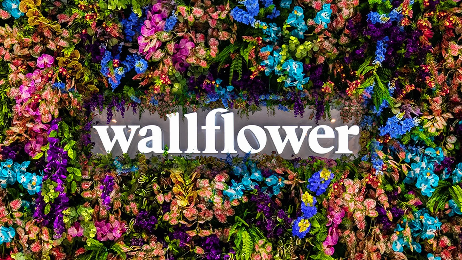 Wallflower Cannabis House - Inspirada listing image