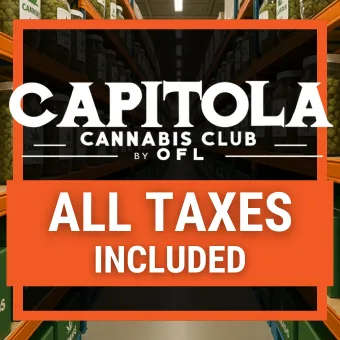 Capitola Cannabis Club By OFL listing image