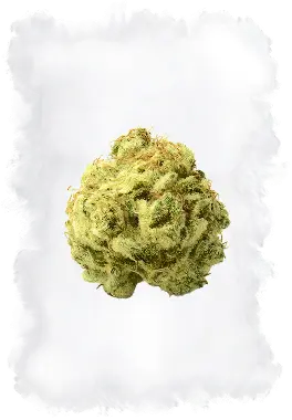 The Sweet Spot Weed Dispensary Rincon Valley - Santa Rosa