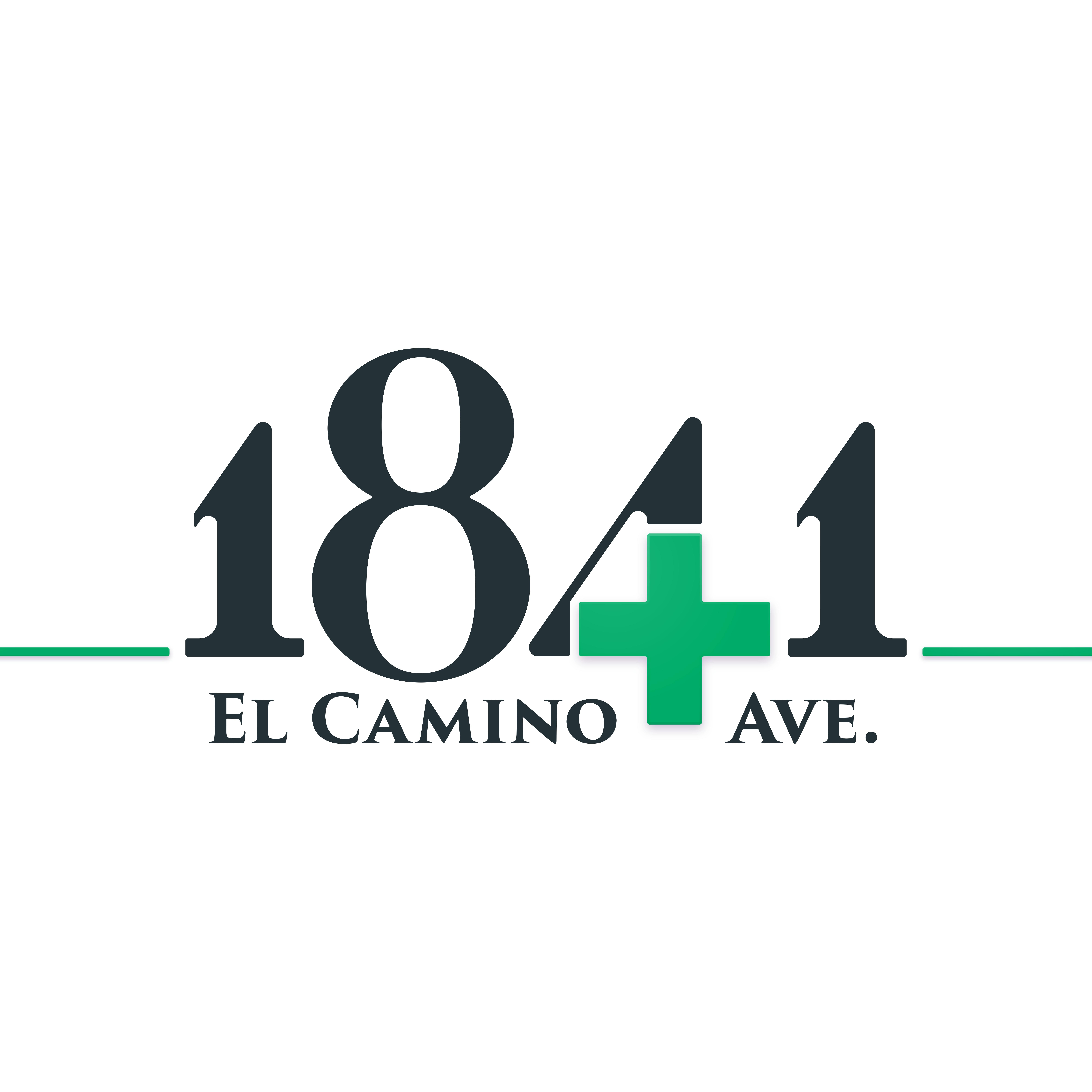 1841 El Camino listing image