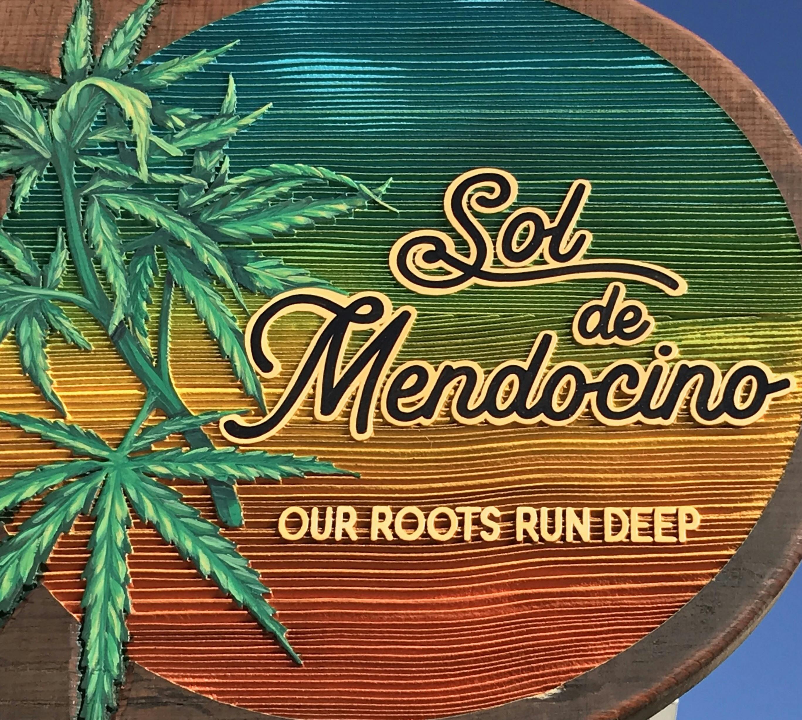 Sol De Mendocino / Love In It listing image
