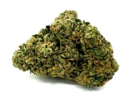 HEAVYWEIGHTS - G41/ 14g