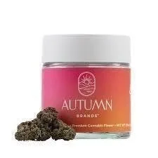 Blueberry Pancakes Premium Smalls 7 Grams