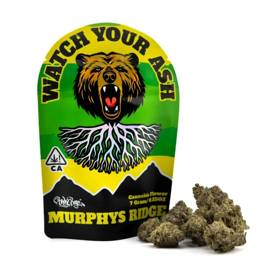 JET POP 7G