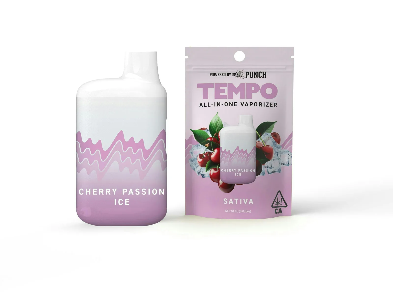 Tempo | Cherry Passion Ice | AIO Disposable | 1g