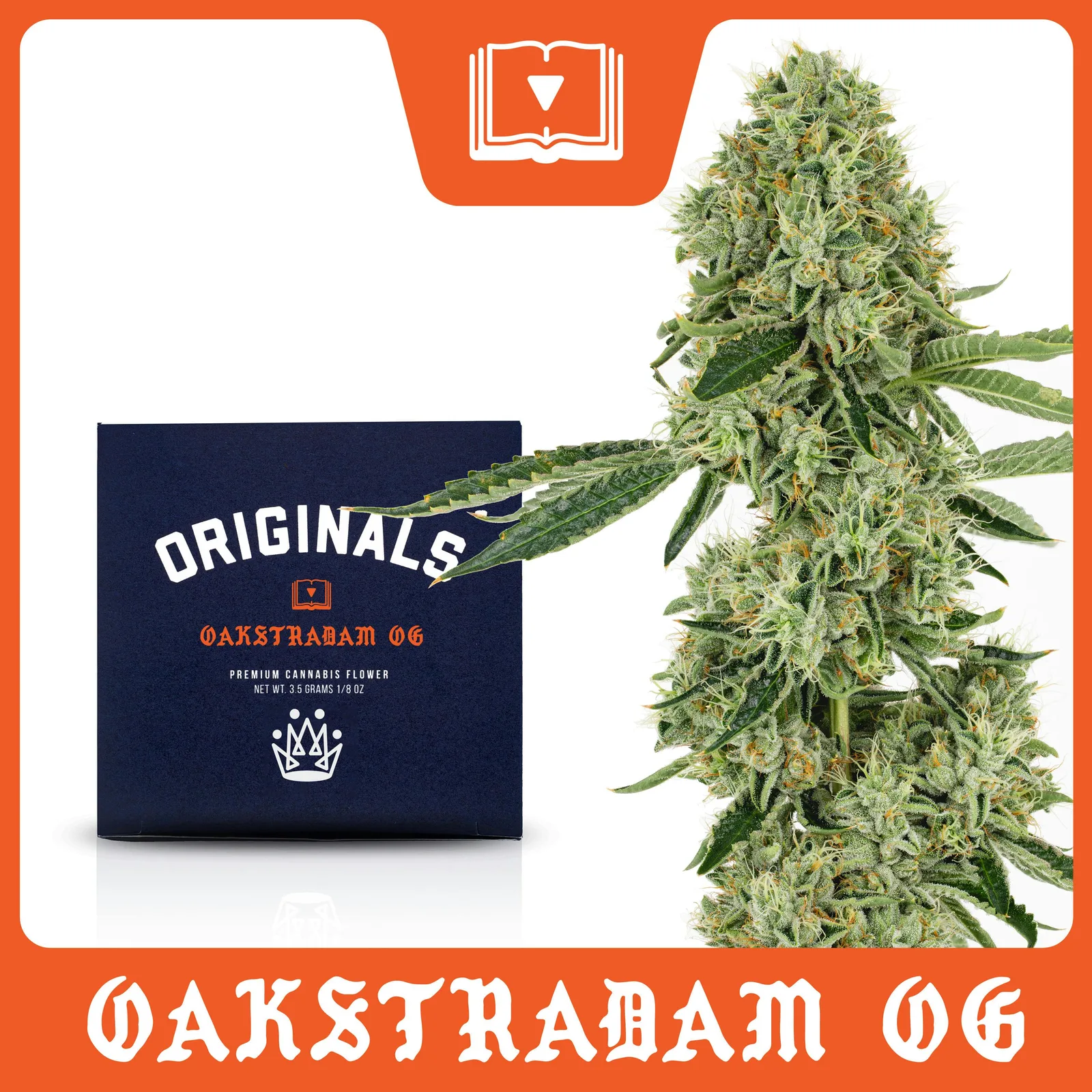 Originals | Oakstradam OG - 3.5g Flower