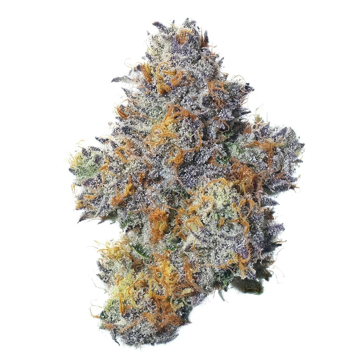 Zhampû 3.5g