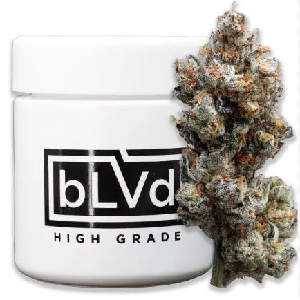 BLVD - STARFRUITZ