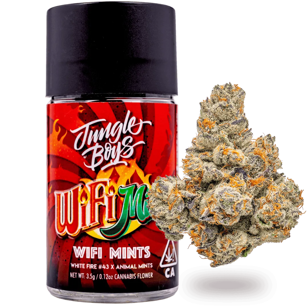 Jungle Boys | Wifi Mints - 3.5g Jar