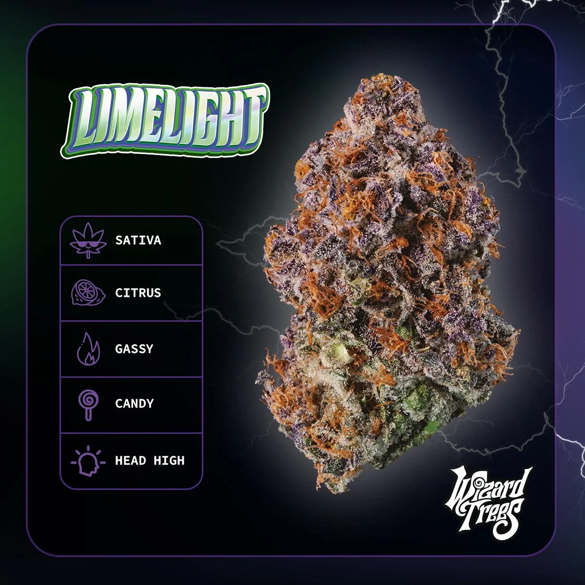 Wizard Trees | 3.5g Flower - Limelight
