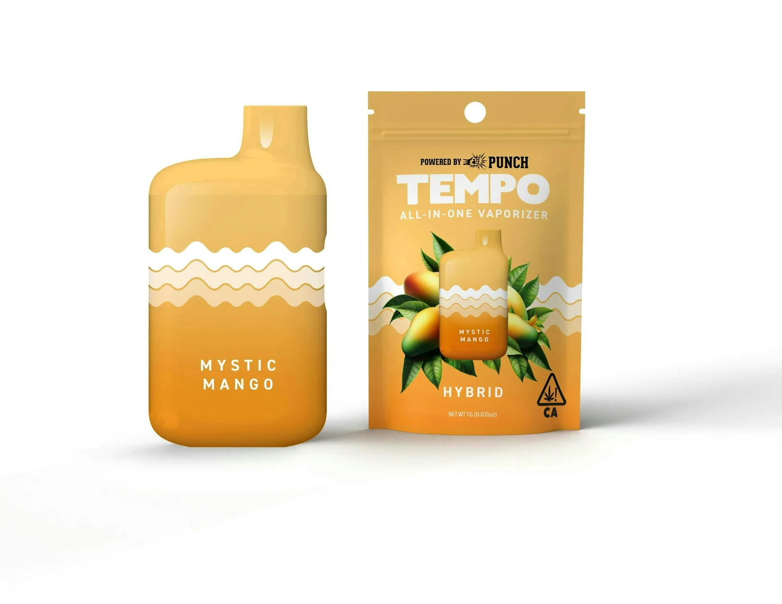 Tempo | Mystic Mango | AIO Disposable | 1g