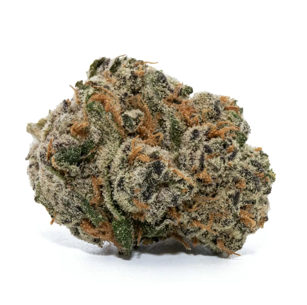 STRIPPER GLITTER [14G]