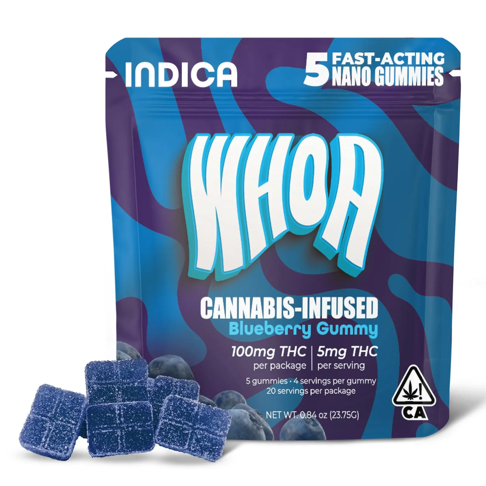 Blueberry Gummy 5 Pack